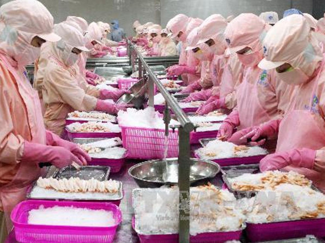 Nhiều lô hàng thủy sản xuất khẩu bị Nhật Bản cảnh báo ảnh 1