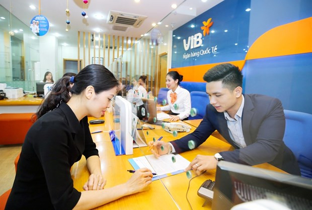 VIB huy động 260 triệu USD từ ADB và các tổ chức tài chính châu Á ảnh 1
