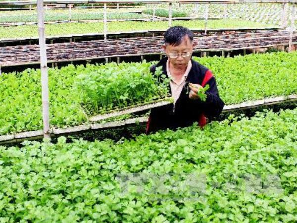 Canada hỗ trợ 7,6 triệu USD nâng sức cạnh tranh nông sản Việt ảnh 1