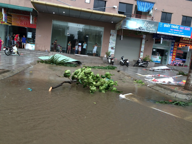 Gió bão khiến khu Đại Thanh, Linh Đàm ngập úng, cây bật gốc la liệt ảnh 8