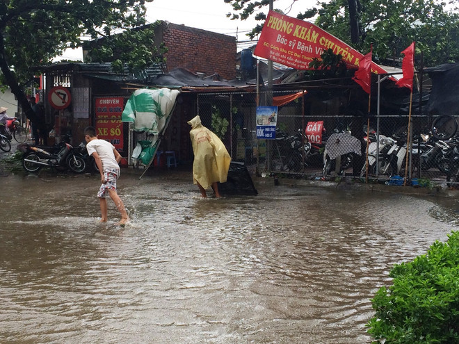 Gió bão khiến khu Đại Thanh, Linh Đàm ngập úng, cây bật gốc la liệt ảnh 3