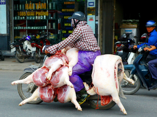 Tình trạng mất an toàn vệ sinh thực phẩm đã tới mức báo động ảnh 1