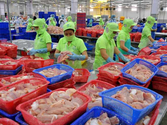 Kiểm tra toàn bộ các lô hàng cá da trơn xuất khẩu vào Hoa Kỳ ảnh 1