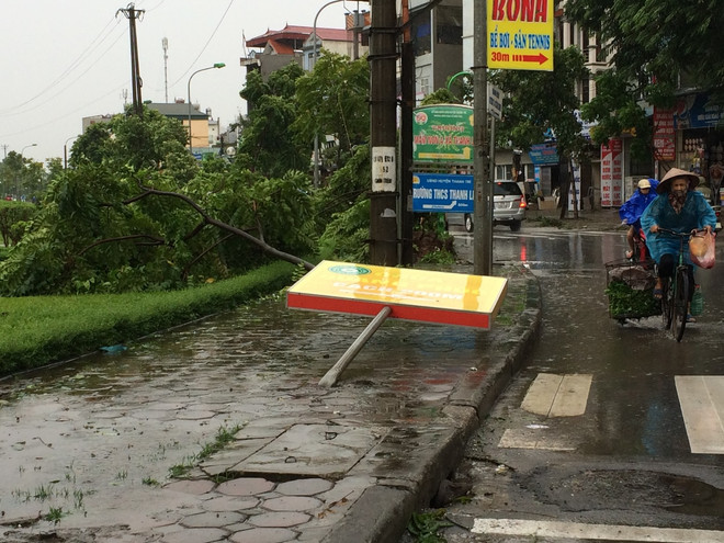 Gió bão khiến khu Đại Thanh, Linh Đàm ngập úng, cây bật gốc la liệt ảnh 4