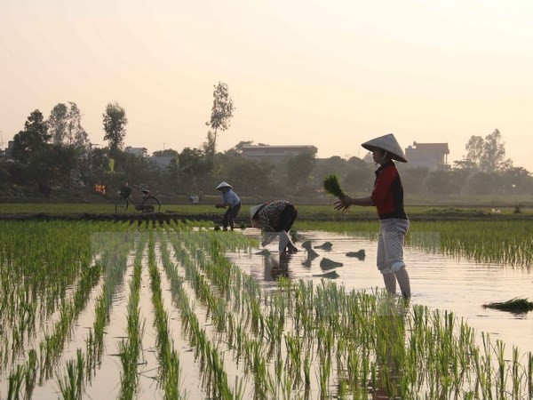 Kienlongbank dành 400 tỷ đồng giúp phát triển nông nghiệp ảnh 1