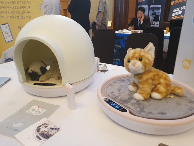 Đa dạng các loại sản phẩm, dịch vụ chăm sóc thú cưng thời 4.0 ảnh 2