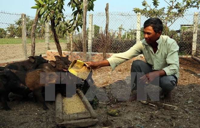 Phân loại nợ để phù hợp với đặc thù của Ngân hàng Chính sách ảnh 1