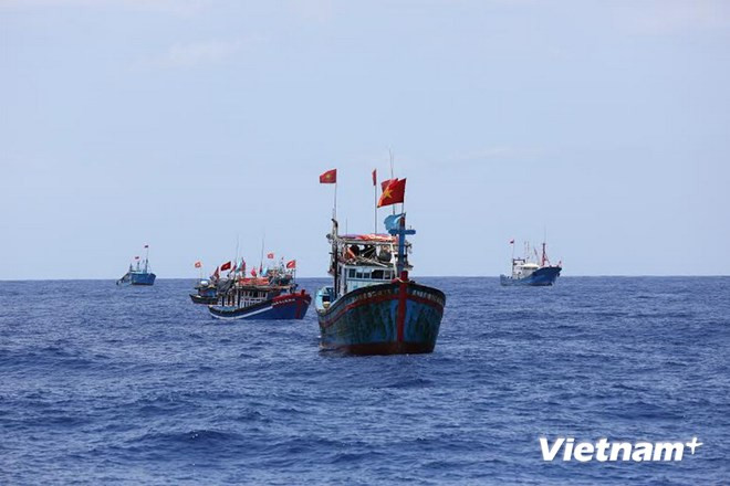 Nhiều nỗ lực đưa Nghị định 67 đi vào cuộc sống của ngư dân ảnh 2