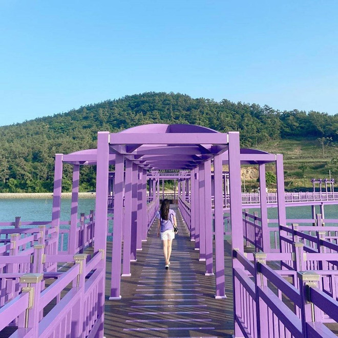 Đảo Tím mộng mơ - Địa điểm du lịch mới gây bão tại Hàn Quốc ảnh 2