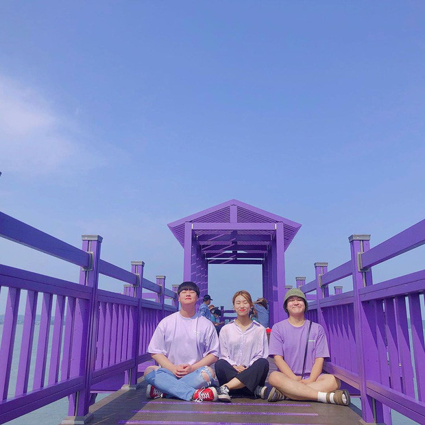 Đảo Tím mộng mơ - Địa điểm du lịch mới gây bão tại Hàn Quốc ảnh 10