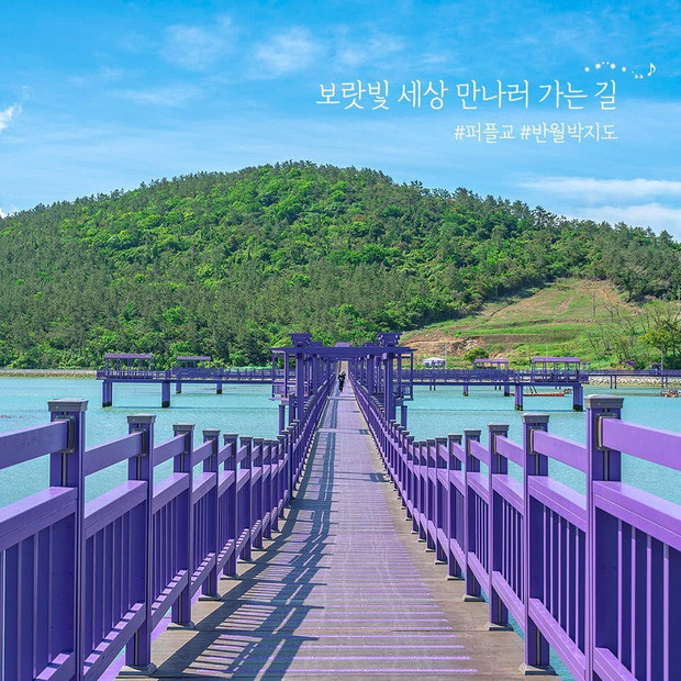 Đảo Tím mộng mơ - Địa điểm du lịch mới gây bão tại Hàn Quốc ảnh 7