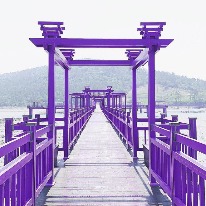 Đảo Tím mộng mơ - Địa điểm du lịch mới gây bão tại Hàn Quốc ảnh 4