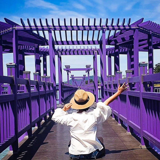 Đảo Tím mộng mơ - Địa điểm du lịch mới gây bão tại Hàn Quốc ảnh 1