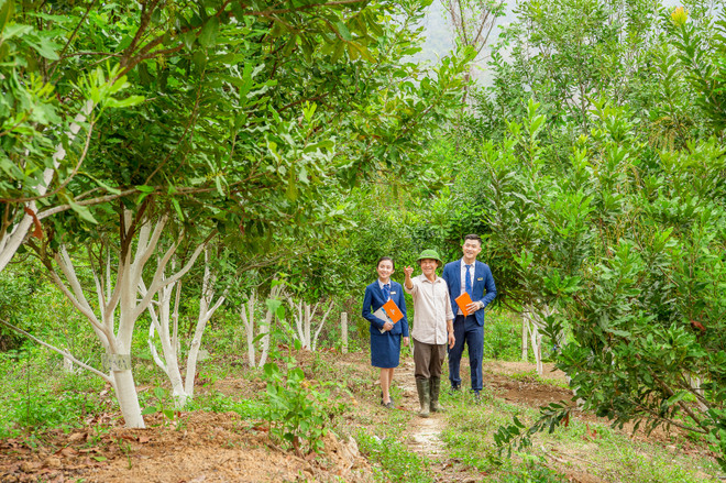 Nông nghiệp, bảo hiểm ‘chắp cánh’ thương hiệu LienVietPostBank ảnh 1