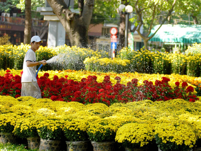 Đưa sinh vật cảnh thành ngành kinh tế sinh thái giá trị cao ảnh 1