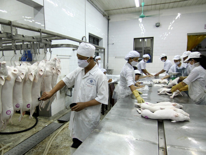 Kênh kết nối cung cấp rau thịt sạch cho người dân thủ đô Hà Nội ảnh 2