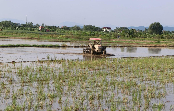 Trung Bộ xuất hiện nắng nóng diện rộng, nhiệt độ cao nhất 35-37 độ C ảnh 1