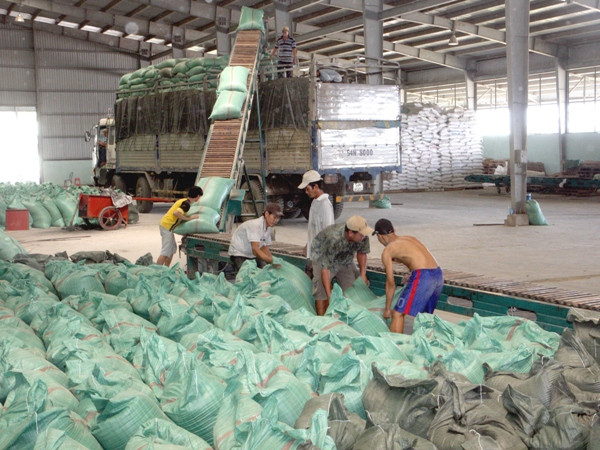 VietABank dành 500 tỷ đồng cho vay thu mua tạm trữ lúa gạo ảnh 1