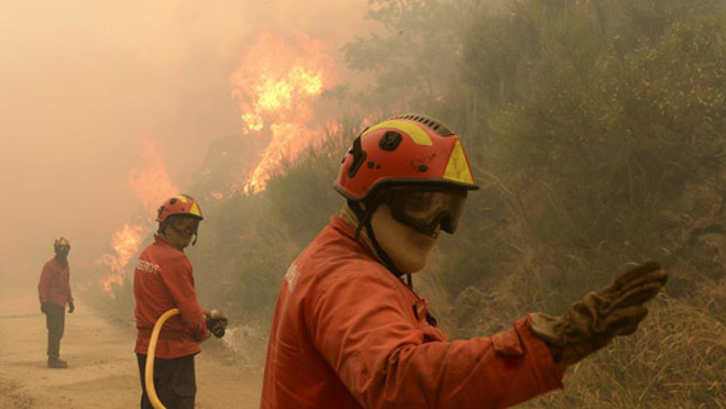 Hơn 1.000 lính cứu hỏa vật lộn với "giặc lửa" tại Bồ Đào Nha ảnh 1