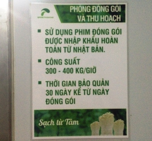 14 năm để hiện thực hóa dây chuyền trồng nấm công nghệ cao ảnh 3