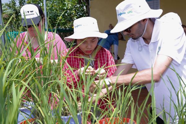 Sinh viên quốc tế tìm hiểu về canh tác nông nghiệp của Việt Nam ảnh 1