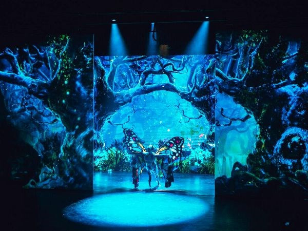 "Ionah": Cuộc đấu tranh thoát khỏi khuôn khổ của xiếc Việt? ảnh 1