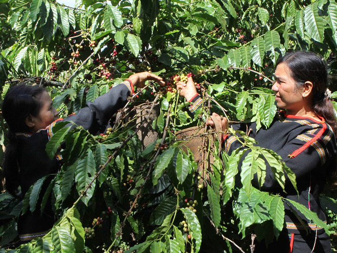 Thiên tai gây thiệt hại hơn 8 nghìn tỷ đồng trong năm 2015 ảnh 5