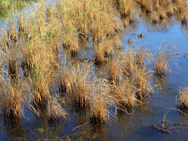 Thiên tai gây thiệt hại hơn 8 nghìn tỷ đồng trong năm 2015 ảnh 6