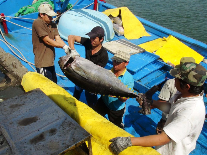 Điểm những mặt hàng xuất khẩu “tỷ đô” của ngành nông nghiệp ảnh 1