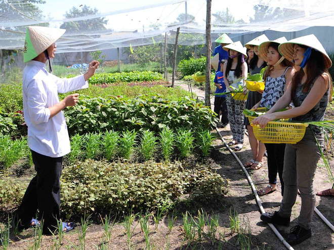 Phát động tháng tuyên truyền cao điểm về vệ sinh an toàn thực phẩm ảnh 1