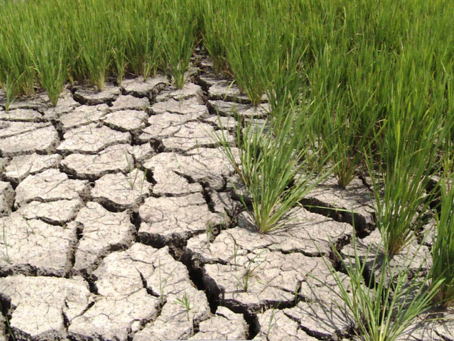 Thiên tai gây thiệt hại hơn 8 nghìn tỷ đồng trong năm 2015 ảnh 7