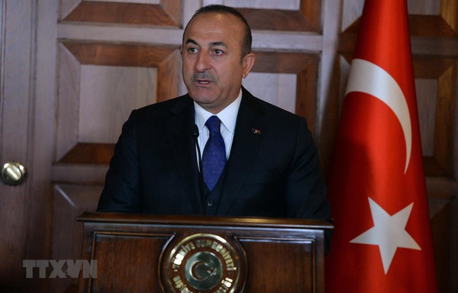 Thổ Nhĩ Kỳ cảnh báo mở chiến dịch quân sự tại miền Đông Syria ảnh 1