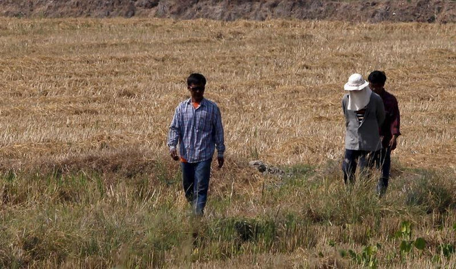 Thái Lan mở chiến dịch làm mưa nhân tạo để chống hạn ảnh 1