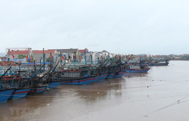 Tàu thuyền neo đậu tránh trú bão. (Ảnh: Nguyễn Oanh/TTXVN) Áp thấp nhiệt đới vào Biển Đông, mưa lớn tiếp tục ở nhiều vùng miền ảnh 1