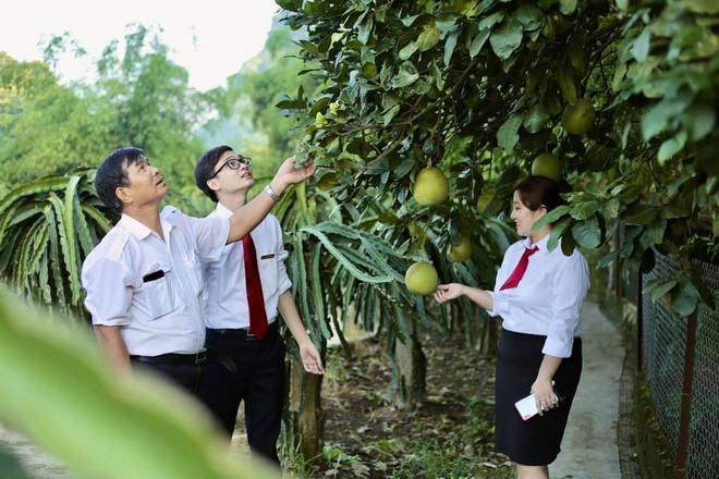 Agribank 34 năm: Tự hào thương hiệu đồng hành cùng ‘tam nông’ ảnh 2