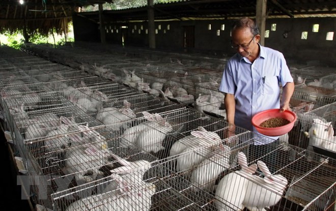 'Tìm những dự án sản xuất công nghệ cao hiệu quả thực sự rất khó' ảnh 1