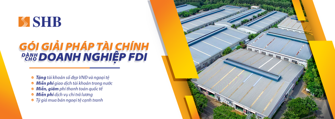 Banner-FDI(1).png