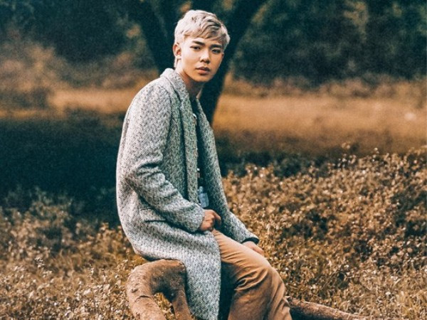 Nghệ sỹ mới của năm: Bảng đấu khó đoán của giải Cống hiến 2017? ảnh 2