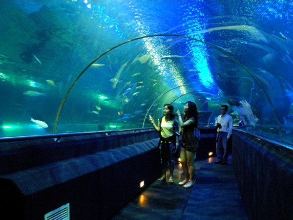 Hà Nội: Khai trương tổ hợp giải trí lớn nhất ở phía Nam ảnh 1