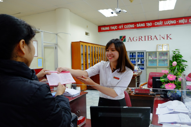 Agribank và hành trình 30 năm gắn bó với tam nông, phát triển đất nước ảnh 1