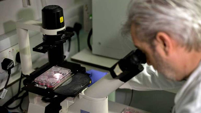 Australia dành hơn 1,3 triệu USD phát triển vắcxin phòng ngừa COVID-19 ảnh 1