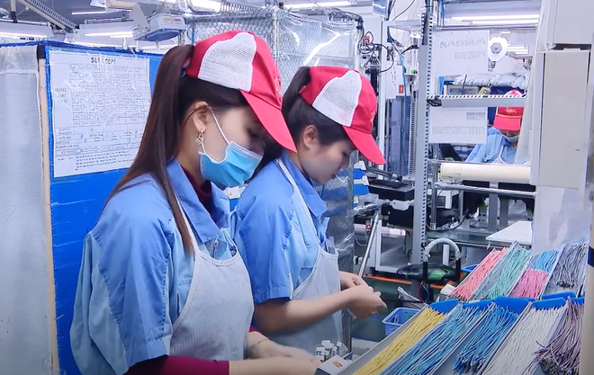 Nhìn lại một năm CSTT 2022: Bản lĩnh đương đầu với 'sóng lớn' ảnh 3