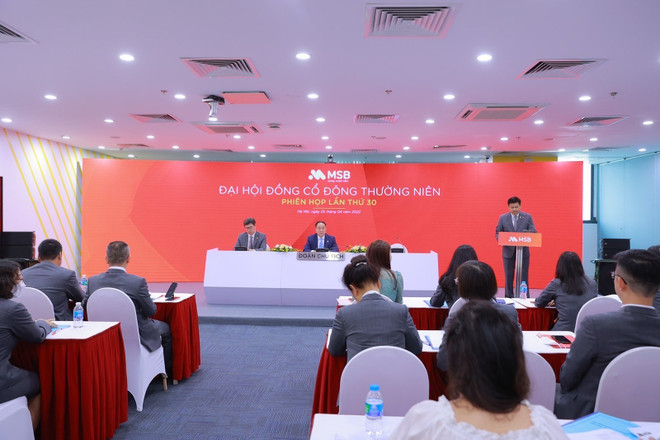 MSB thông qua kế hoạch tăng vốn điều lệ 30% lên 20.000 tỷ đồng ảnh 1
