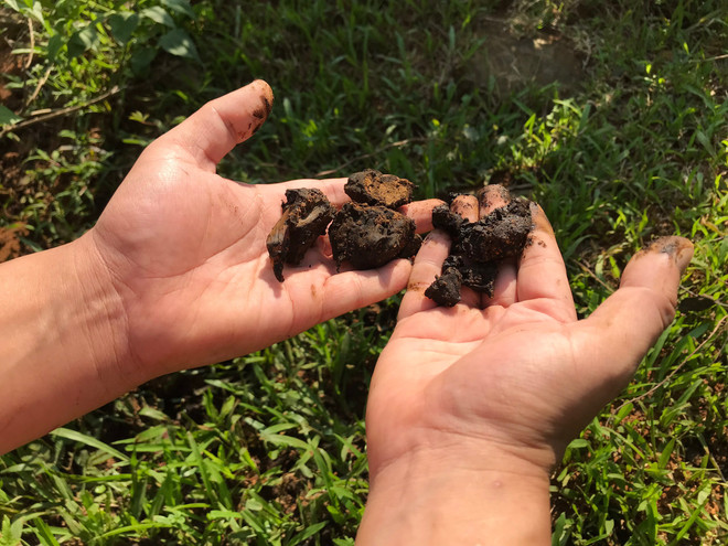 Cận cảnh bùn thải nghi nhiễm dầu tại cửa súc xả bể chứa sông Đà ảnh 7