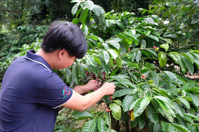 Khởi động hỗ trợ kỹ thuật thúc đẩy tài chính toàn diện ở Việt Nam ảnh 2