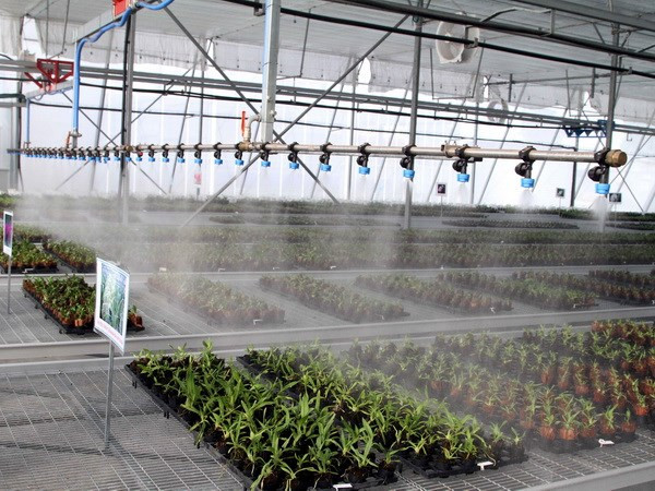 VietinBank phục vụ Dự án “Cải thiện nông nghiệp có tưới” ảnh 1