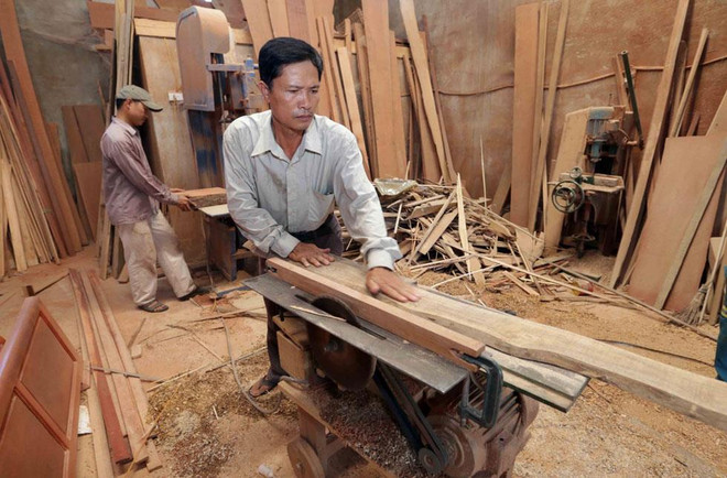 Nguồn vốn tín dụng chính sách tạo sinh kế bền vững cho thanh niên ảnh 1