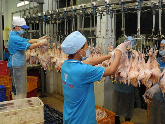 Ban hành dự thảo tiêu chí rau, thịt an toàn trên địa bàn Hà Nội ảnh 2