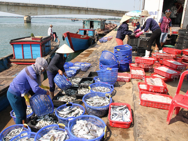 Kim ngạch xuất khẩu nông lâm thuỷ sản đạt hơn 15 tỷ USD trong 6 tháng ảnh 1