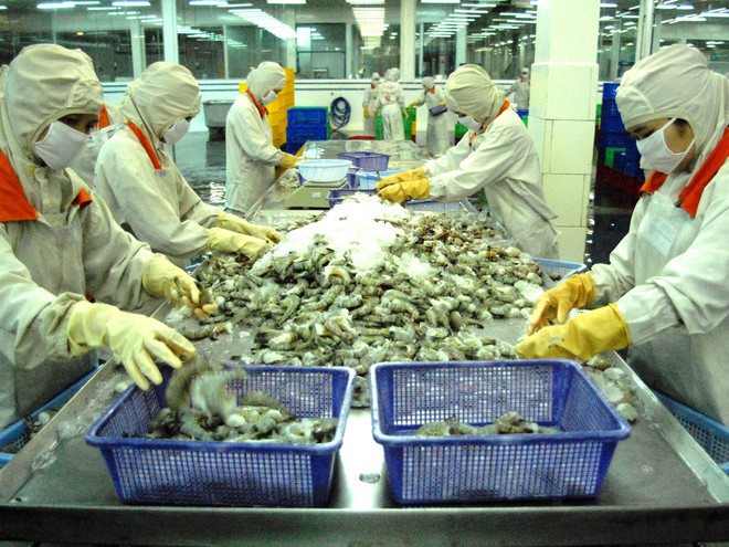 Thủy sản nhiễm hóa chất: Nhiều doanh nghiệp bất hợp tác với Cục Thú y ảnh 1